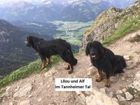 Alf und Lilou in den Alpen